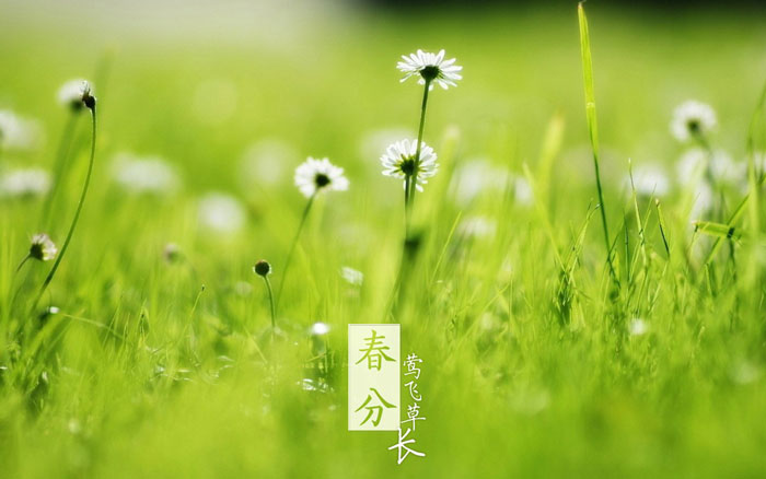 即便是春風十里，依然不如你